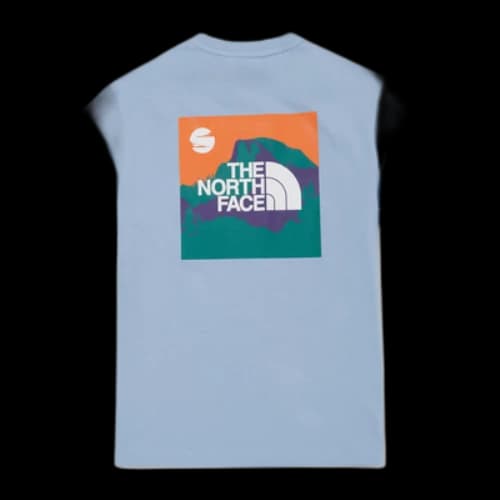 THE NORTH FACE Graphic T-shirt 'Blue' (Women's)