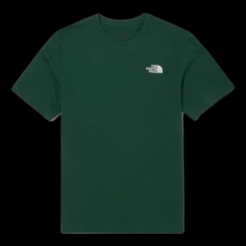 THE NORTH FACE Nse Bandana T-shirt 'Green'