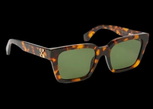 OFF-WHITE Branson Sunglasses Havana (OERI111S24PLA0016055)