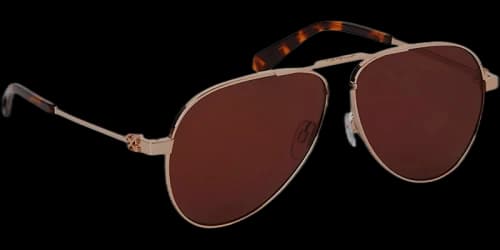 OFF-WHITE Ruston L Sunglasses Gold/Brown/Brown (OERI122S24MET0017664-FR)