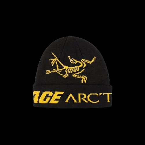 Palace x Arc'teryx Beanie 'Black'