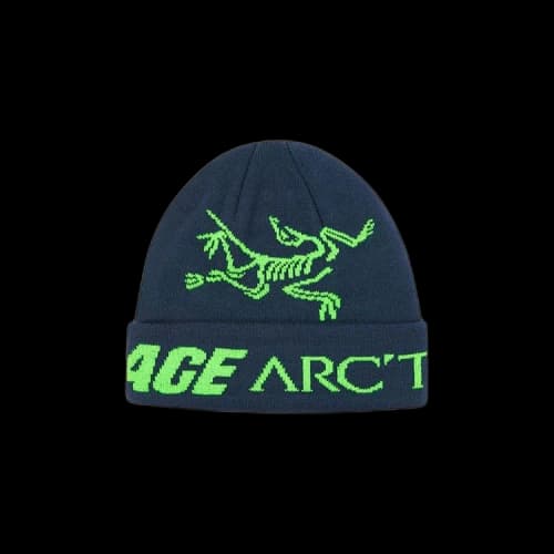 Palace x Arc'Teryx Beanie 'Teal'