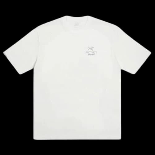 Palace x Arc'teryx T-Shirt 'White'