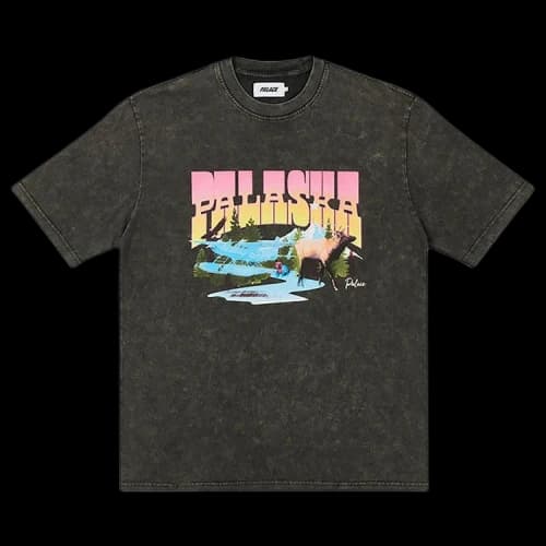 Palace Palaska Dye T-Shirt 'Black'