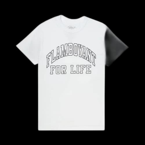 Pleasures Flamboyant T-Shirt 'White'