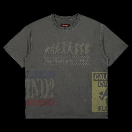 Pleasures Evolution Heavyweight T-Shirt 'Black'
