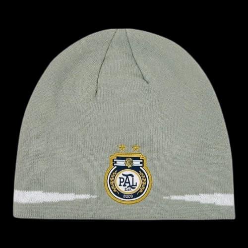 Palace Pro Nein Cuff Beanie 'Grey'