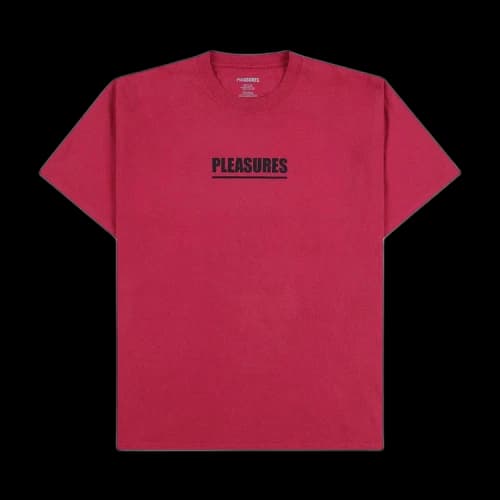 Pleasures Scripture T-Shirt 'Ruby'