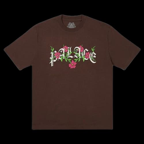 Palace Thorny T-Shirt 'Nice Brown'