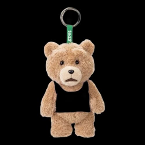 Pop Mart Ted2 Teddy Bear Action Plush Pendant 'Vest Bear'