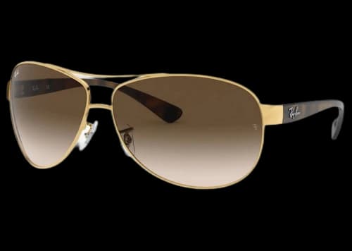 Ray-Ban RB3386 Sunglasses Polished Gold/Brown (RB3386)