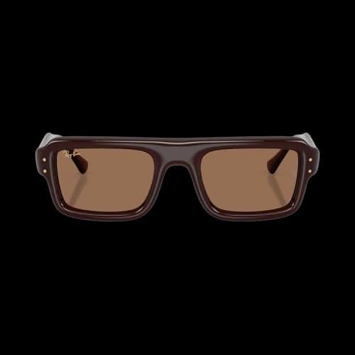 Ray-Ban x A$AP Rocky Flacko Puffer 'Transparent Brown/Dark Brown'