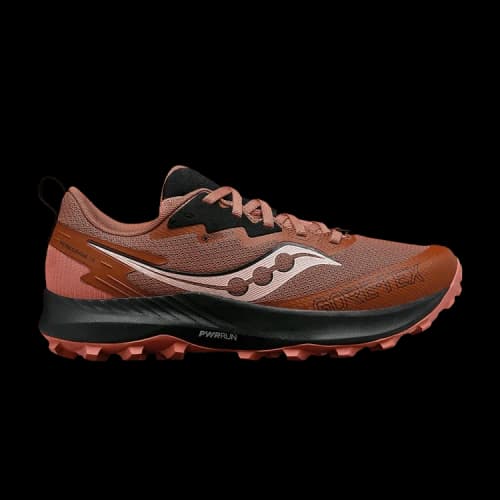 Saucony Peregrine 14 GORE-TEX 'Clove Black' (Women's)