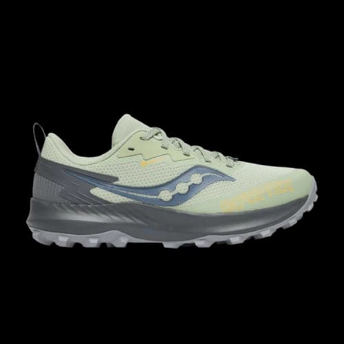 Saucony Peregrine 14 GORE-TEX 'Sage Carbon' (Women's)