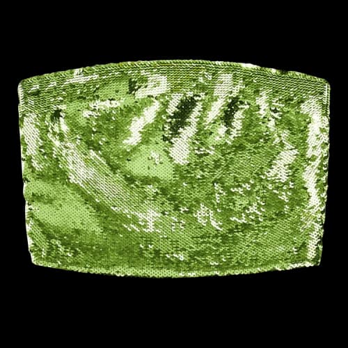 Loewe Sequin Bustier Top 'Aniseed Green'