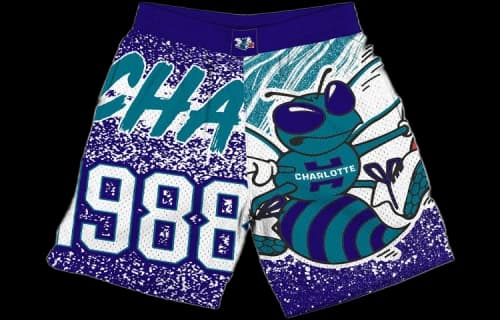 Mitchell & Ness x NBA Jumbotron Shorts 'Charlotte Hornets'