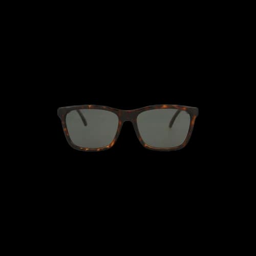 Saint Laurent Square Sunglasses 'Havana/Grey'