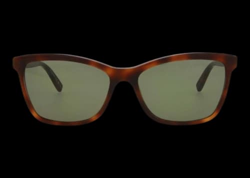 Saint Laurent Cat Eye-Frame Acetate Sunglasses Havana/Green (SL502-30013066-003-20357)