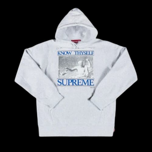 Supreme Know Thyself Hooded Sweatshirt 'Ash Grey'