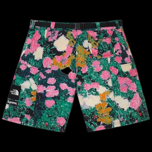 Supreme x The North Face Trekking Packable Belted Short 'Flowers'