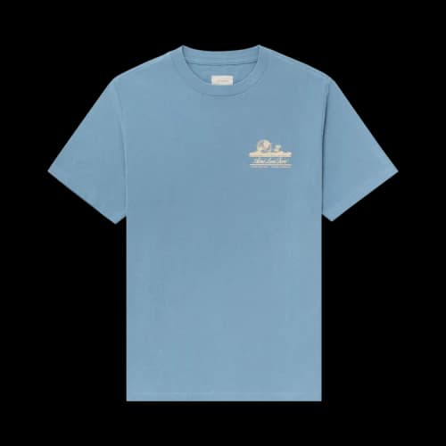 Aimé Leon Dore Unisphere Short-Sleeve Tee 'Rain Washed'