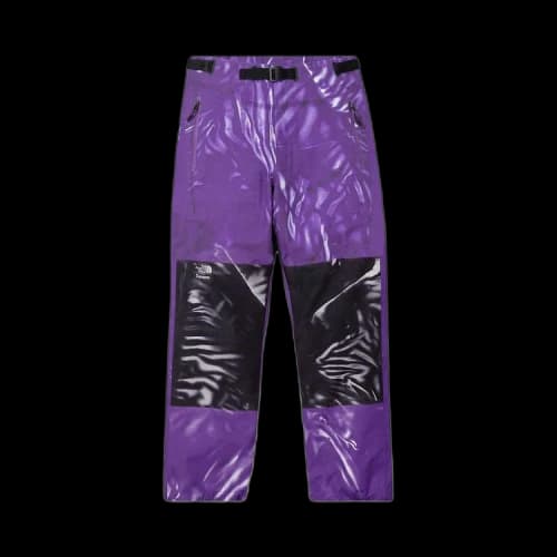 Supreme x The North Face Printed Mountain Pant 'Purple'