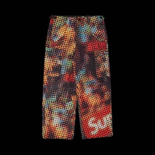Supreme GORE-TEX PACLITE Cargo Pant 'Multicolor'