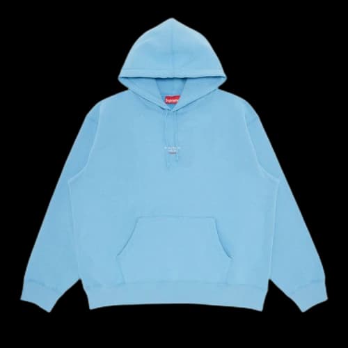 Supreme World Famous Micro Hooded Sweatshirt 'Light Blue'
