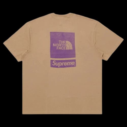 Supreme x The North Face Short-Sleeve Top 'Khaki'