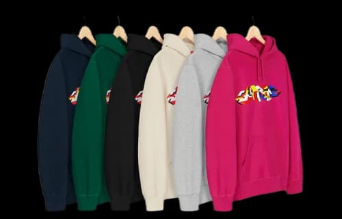 Supreme FW19 Week 4 Delta Logo Hooded Sweatshirt