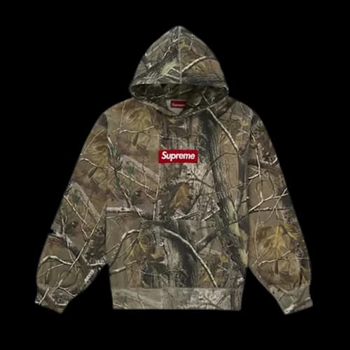 Supreme Box Logo Hooded Sweatshirt (FW25) Realtree AP Camo