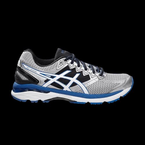 ASICS GT 2000 4 'Silver Royal'