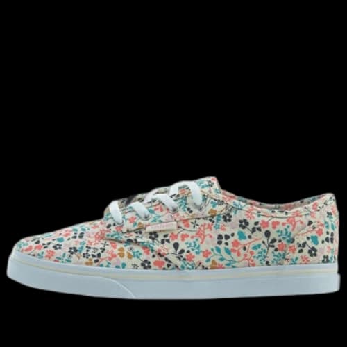 (PS) Vans Atwood Low Shoes 'Multi-Color'