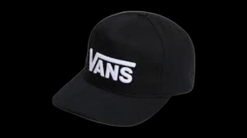 Vans Drop V Logo Snapback Black
