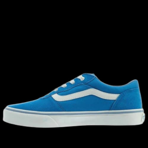 (GS) Vans Milton Skate Shoes 'Blue'