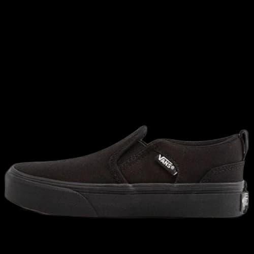 Vans Shoes Skate shoes 'Triple Black'
