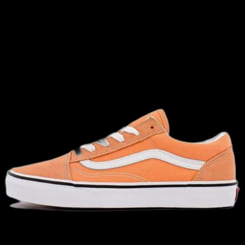 Vans Shoes Skate shoes 'Orange White'
