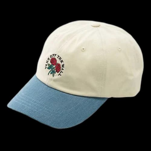 Vans Camburn Curved Bill Jockey Hat 'Beige Blue'