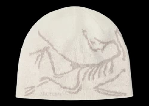 Arc'teryx Bird Head Toque Beanie Arctic Silk/Rune