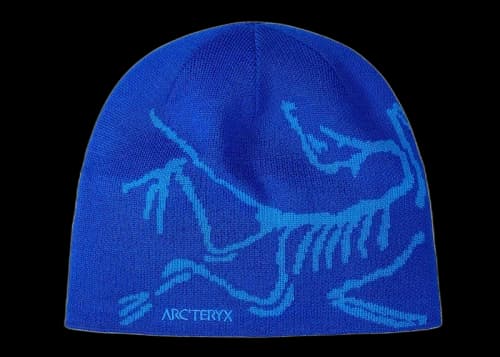Arc'teryx Bird Head Toque Beanie Vitality/Fluidity