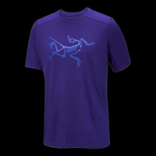 Arc'Teryx Ionia Merino Wool Logo T-Shirt 'Purple'