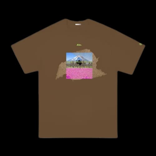 Advisory Board Crystals Such A Pretty Planet, Such An Ugly World Scene 4 Tee Brown