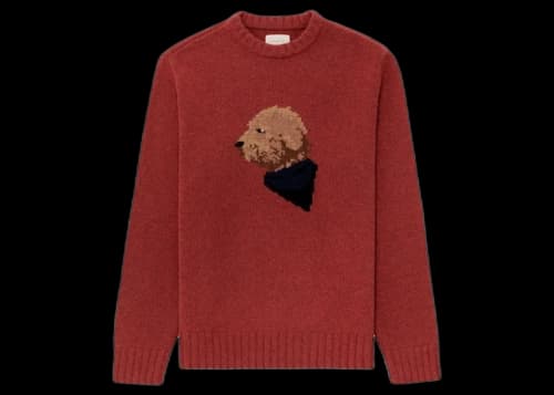 Aime Leon Dore Collegiate Buddy Knit Sweater Red