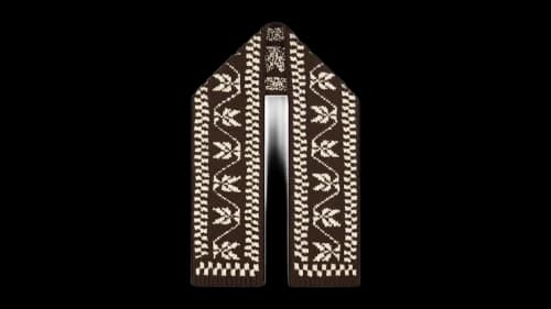 Aime Leon Dore Hand Knit Jacquard Wool Scarf Coffee Bean/Pristine