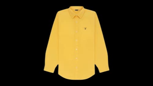 Aime Leon Dore Leon Overshirt Yellow