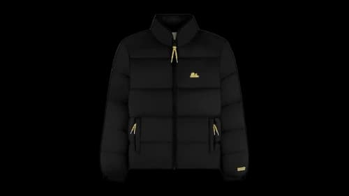 Aime Leon Dore WINDSTOPPER Unisphere Down Puffer GORE-TEX Jacket Jet Black