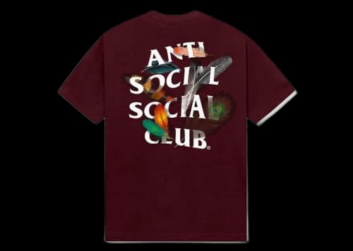 Anti Social Social Club Birdbath Tee Maroon