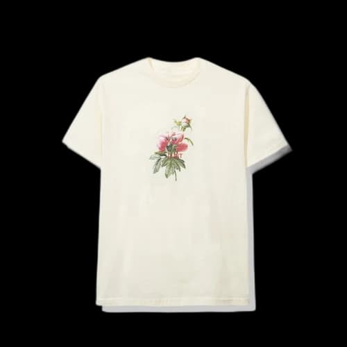 Anti Social Social Club Wifey Tee Cream
