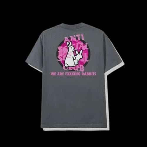 Anti Social Social Club x FR2 Intercontinental T-shirt Grey
