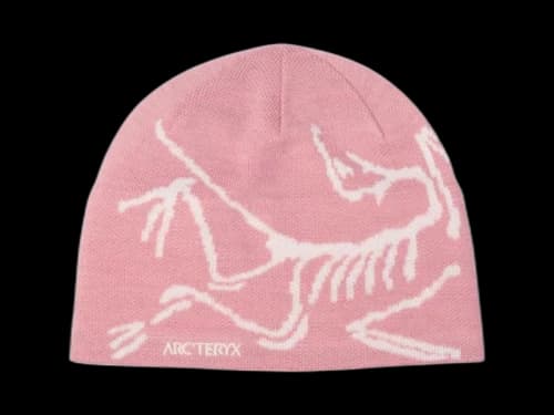 Arc'teryx Bird Head Toque Beanie Bliss/Artic Silk